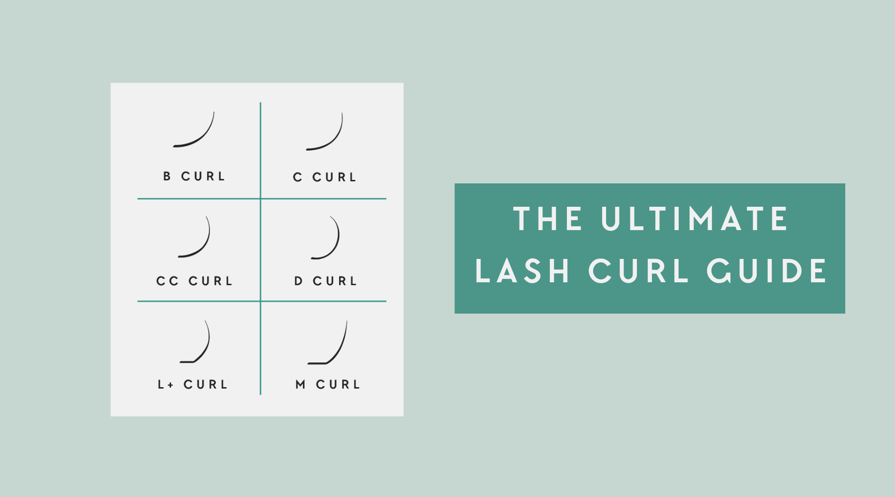 The Ultimate Lash Curl Guide: B, C, CC, D, L+, and M – How to Choose the Best Curl for Your Clients