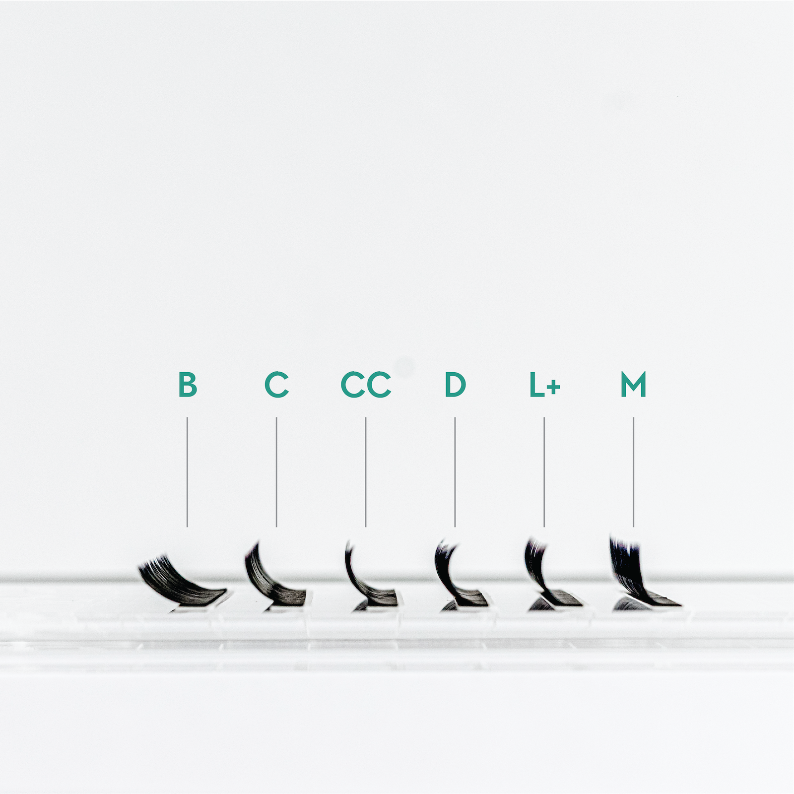 Best curl hot sale lashes