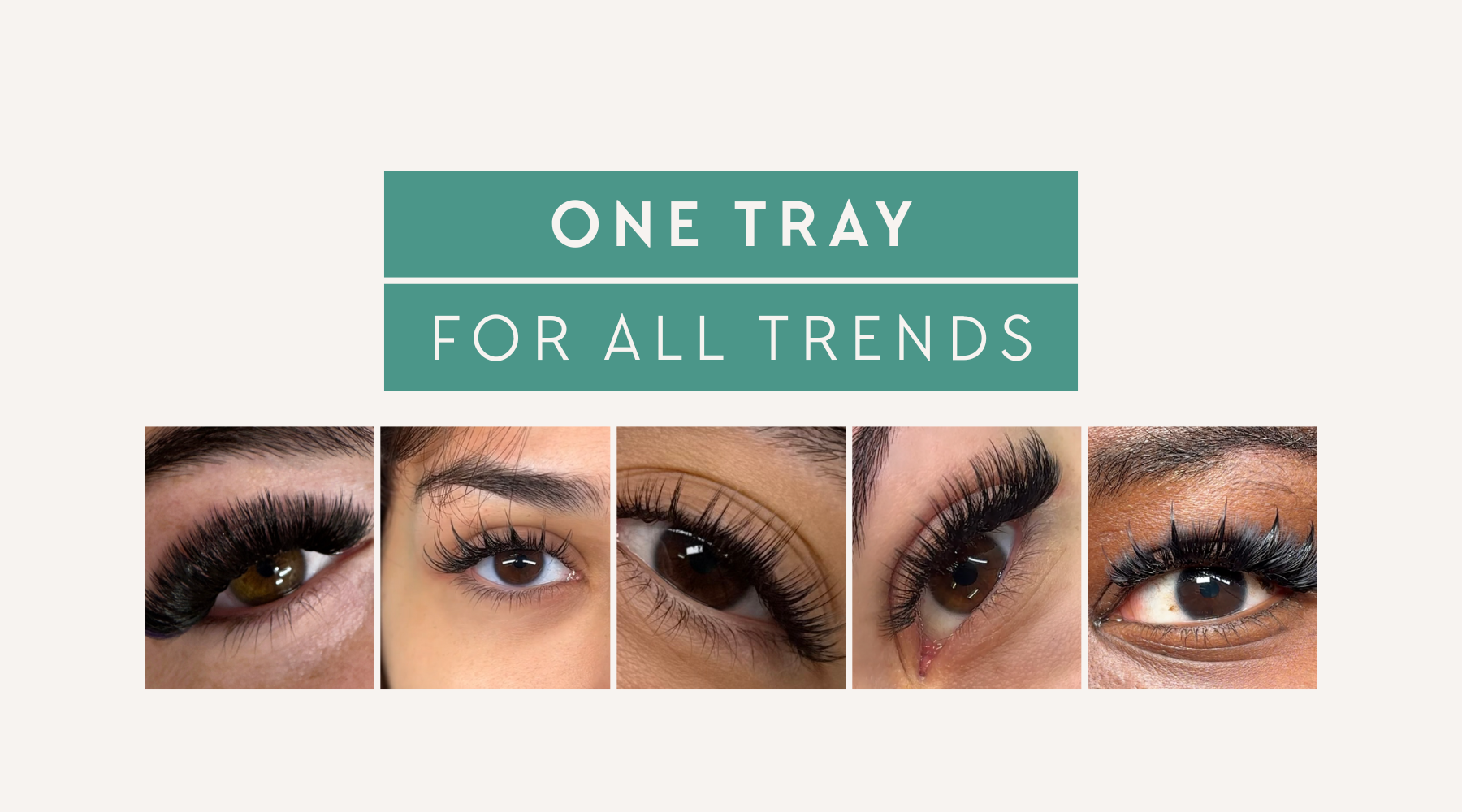 fine diameter - 1 tray for all trends