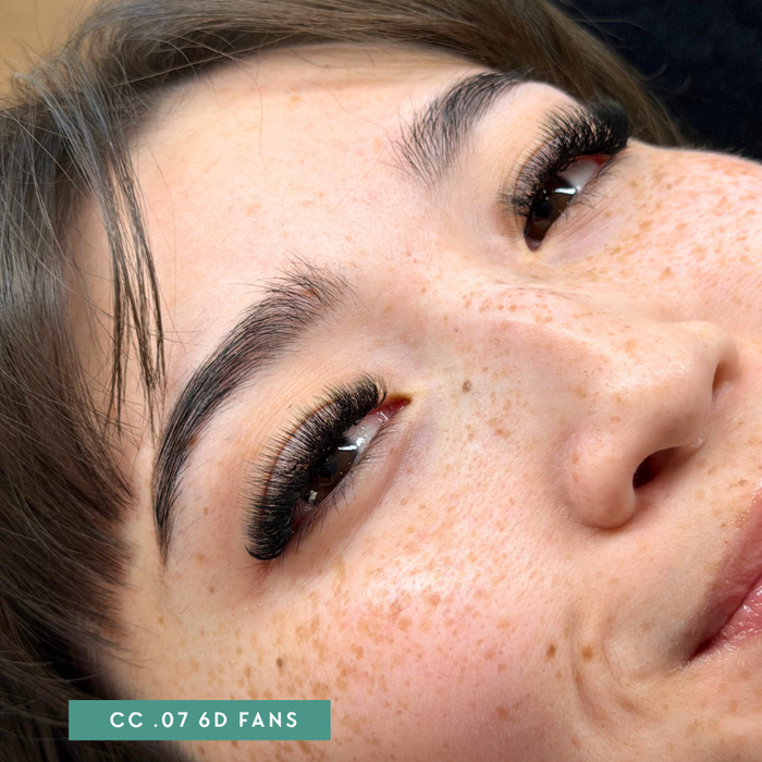 Premade 6D Lash Fans