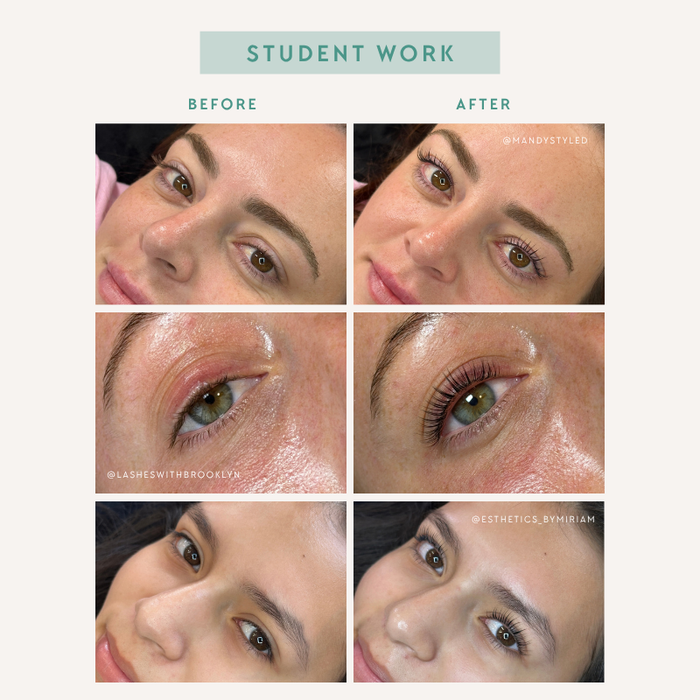 Korean Lash Lift Training In Person
