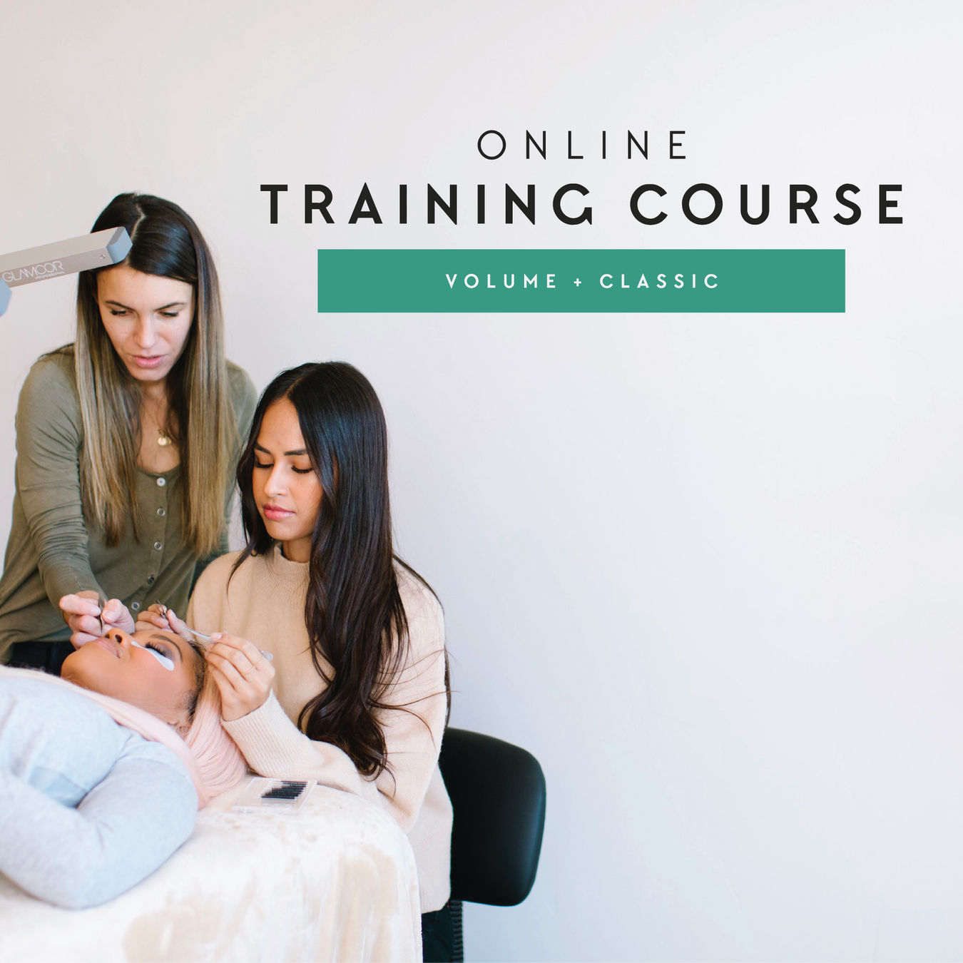 Online Training